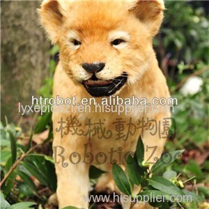 Animatronic Small Lion Outdoor