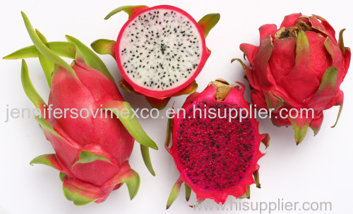 High Quality Dragon Fruit