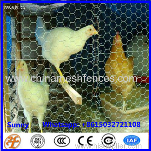 PVC coated and galvanized hexagonal wire mesh chicken wire netting