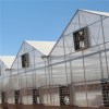 Large Ridge Greenhouse Product Product Product