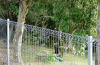 Welded Wire Garden Fences Make Your Garden Charming