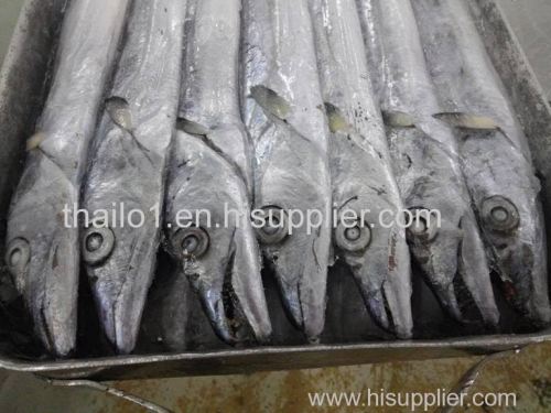 Fresh Frozen Ribbon fish Salmon fillets and Hake fillets for sale
