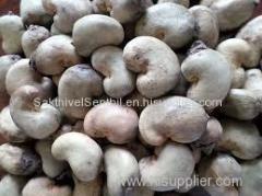 Raw Cashew Nuts with shell