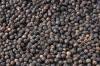 Good Quality black pepper