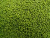 Good Green Mung beans For sale