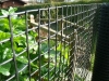 agriculture netting/mesh plastic square mesh