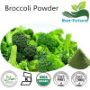 Broccoli Powder broccoli juice extract factory
