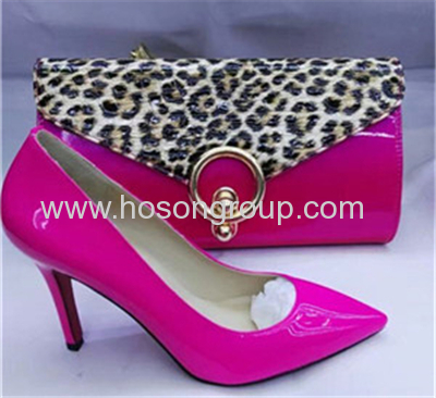 Ladies Shoes with matching leopard purse