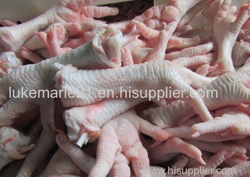Frozen Chicken Feet and Paws Exporters