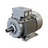 TYBZ synchronous motor made in china
