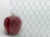 Corrugated or Flat Glass Used Chicken Wire Mesh