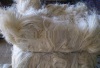 SISAL FIBRE FIBER SISAL