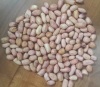 PEANUT GROUNDNUT ALMOND NUTS