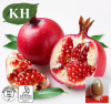 Pomegranate Peel Extract Polyphenols