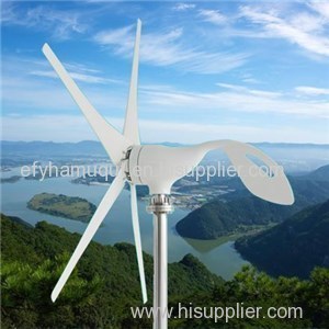 Factory Direct Selling Chanpion Small/micro Horizontal Shaft Wind Driven Generator Five Blades/three Blades