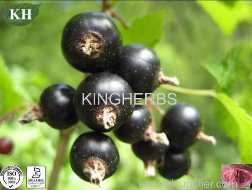 Black Currant Extract Anthocyanidins and Anthocyanins