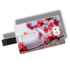 Custom usb flash drive 8gb credit card usb flash drive