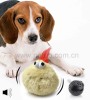 New Plastic PET Vibration Crazy Jumping Ball Toy for Dog & Cat Toys