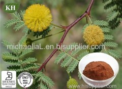 Acacia Catechu Extract Catechins 40% by HPLC