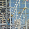 admois layher scaffolding with competitive price