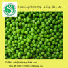 Frozen IQF Green Peas Peas