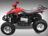 KANDI 200cc Panther 200 ATV Automatic with Reverse 10&quot; Big Wheels (MDL-200ASG-1)