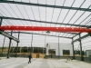 Electric Indoor Single Girder Overhead Crane EOT Crane 5 Ton