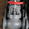 JIS Marine Cast Iron Check Globe Valve 5K 10K 16K