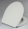 Printed UF soft close toilet seat & cover