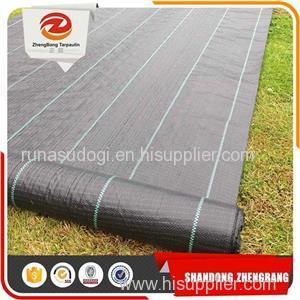 UV Stabilised PP Woven Ground Cover Fabrics