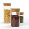 Glass Jar Borosilicate Storage Canister With Cork Stopper For Cookie Candy Spice Tea Cereal Storage