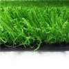 Most Realistic Synthetic Turf/artificial Grass/lawn In Backyard For Playground Or Decoration