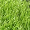 Bicolor High Water Premeability Synthetic Football or Soccer Field and Pitches Grass