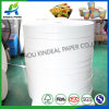 Pe coated paper for bottom