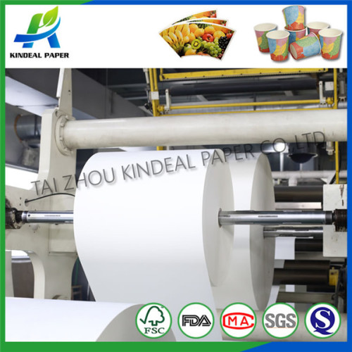 Pe coated paper for cups in roll