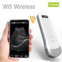 Cheapest Wireless Wifi Ultrasound Probe Scanner Convex High Quality Compatible Ultrasound Probe for Urologist