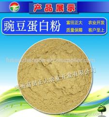 Pea Protein Powder for animal feed