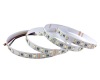 RGBW 5050 LED strip lights