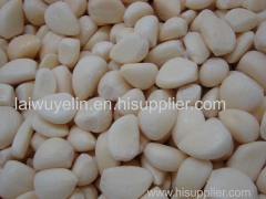 Normal white 4.5cm/5.5cm/6.5cm peeled china garlic