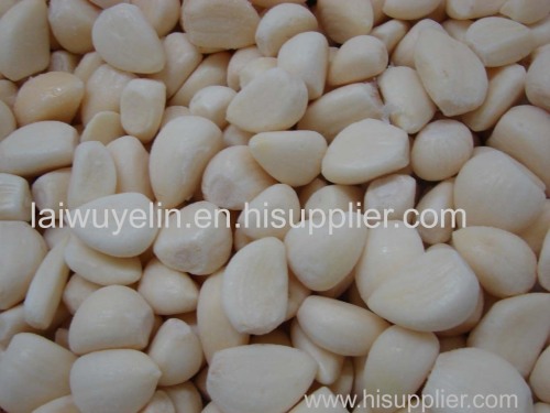 Normal white 4.5cm/5.5cm/6.5cm peeled china garlic