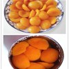 Canned Apricot Product Product Product