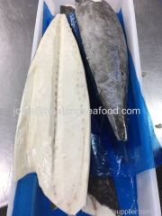 frozen oil fish/oilfish (lepidocybium flavobrunneum) fillet 2-4kg for sale with competitive price