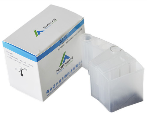 Thyroid Total Triiodothyronine (TT3) Chemiluminescence Immunoassay Reagent