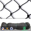 black knot anti bird net