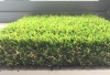 Artificial grass for Public area