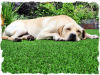 306814S Artificial Grass Mat for PET supplier