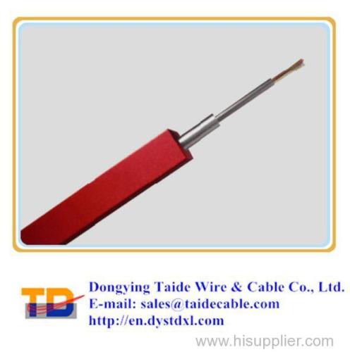 Tubing Encapsulated Cable / TEC
