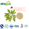 American Ginseng Leaves Extract Powder