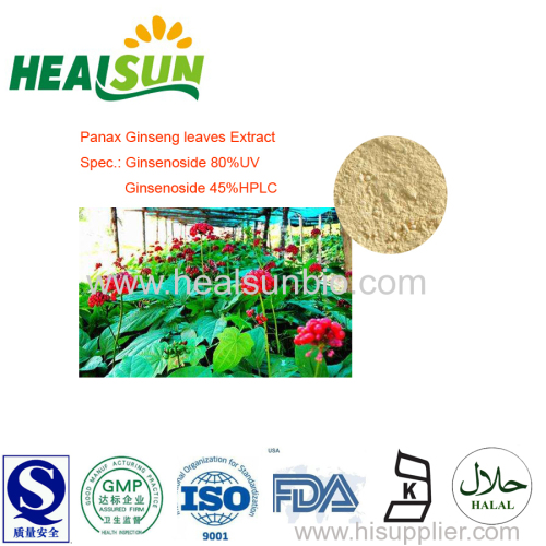 Panax Ginseng Leaves Extract Powder Ginsenoside 80%UV