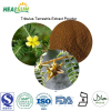 Tribulus Terrestris extract powder Saponins 40%- 60% UV